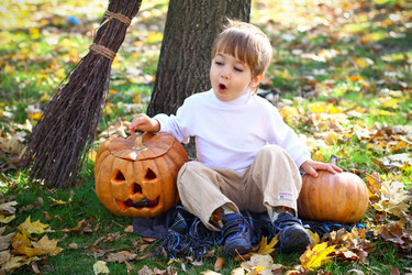 Similar image 1709787