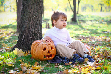 Similar image 1709795