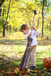 Similar image 1709803