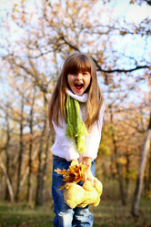 Similar image 1709834