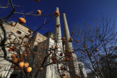 Similar image 1709887