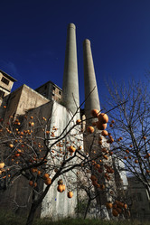 Similar image 1709889