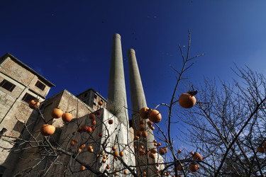 Similar image 1709891