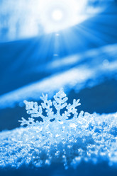 Similar image 1709952