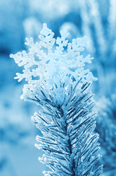 Similar image 1709953