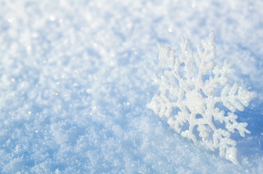 Similar image 1709956