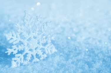 Similar image 1709957