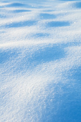 Similar image 1709959