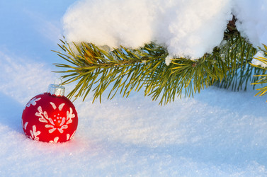 Similar image 1709963