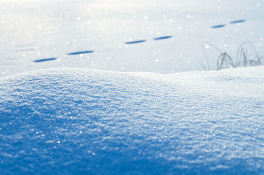 Similar image 1709964