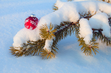 Similar image 1709969