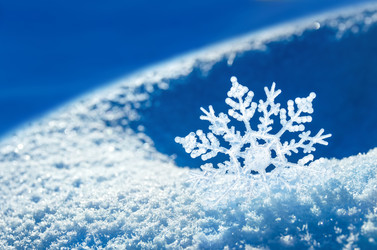 Similar image 1709970