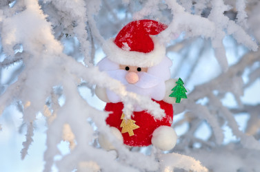 Similar image 1709981