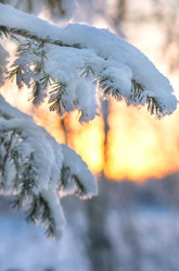 Similar image 1709982