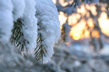 Similar image 1709983