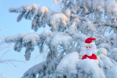 Similar image 1709988