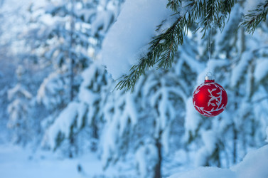 Similar image 1709991