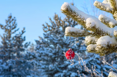 Similar image 1709993