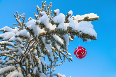 Similar image 1709994