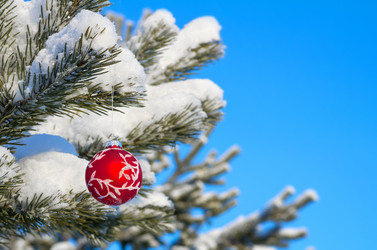 Similar image 1709996