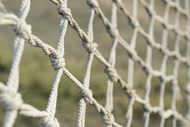 Similar image 1710034