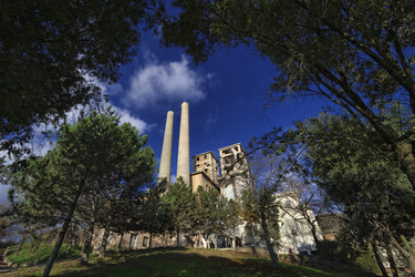 Similar image 1710106