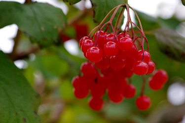 Similar image 1710126