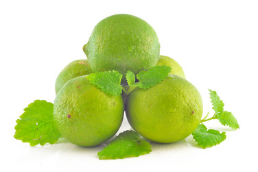 Similar image 1710142