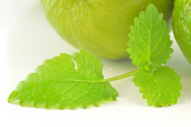 Similar image 1710143