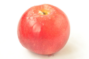 Similar image 1710153