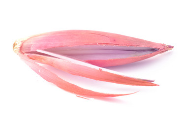 Similar image 1710155