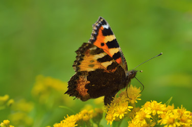 Similar image 1710157