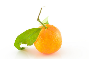 Similar image 1710161