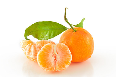 Similar image 1710162