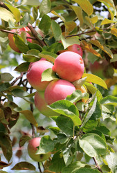 Similar image 1710206