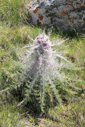 Similar image 1710207