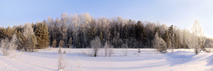 Similar image 1710362