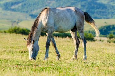 Similar image 1710411