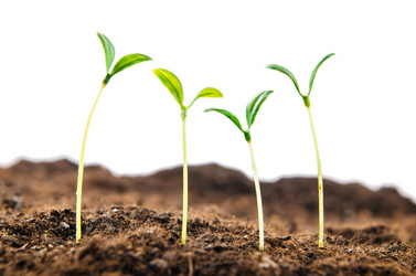 Similar image 1710426