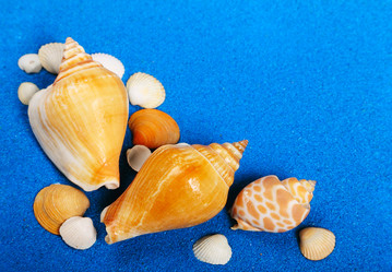 Similar image 1710484