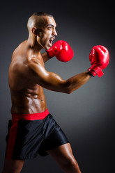 Similar image 1710504