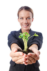 Similar image 1710539