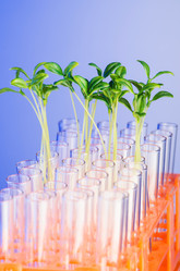 Similar image 1710588