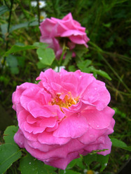 Similar image 1710821