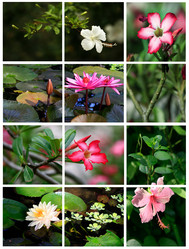 Similar image 1710832