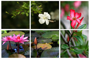 Similar image 1710833