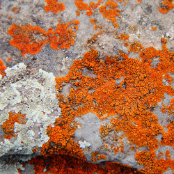 Similar image 1710854