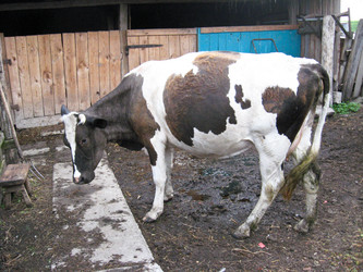 Similar image 1710907