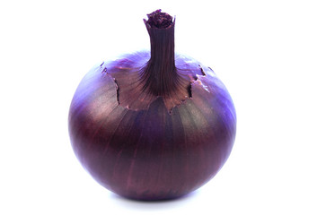 Similar image 1710931