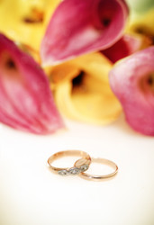 Similar image 1711016